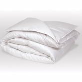 Comforters & Pillows